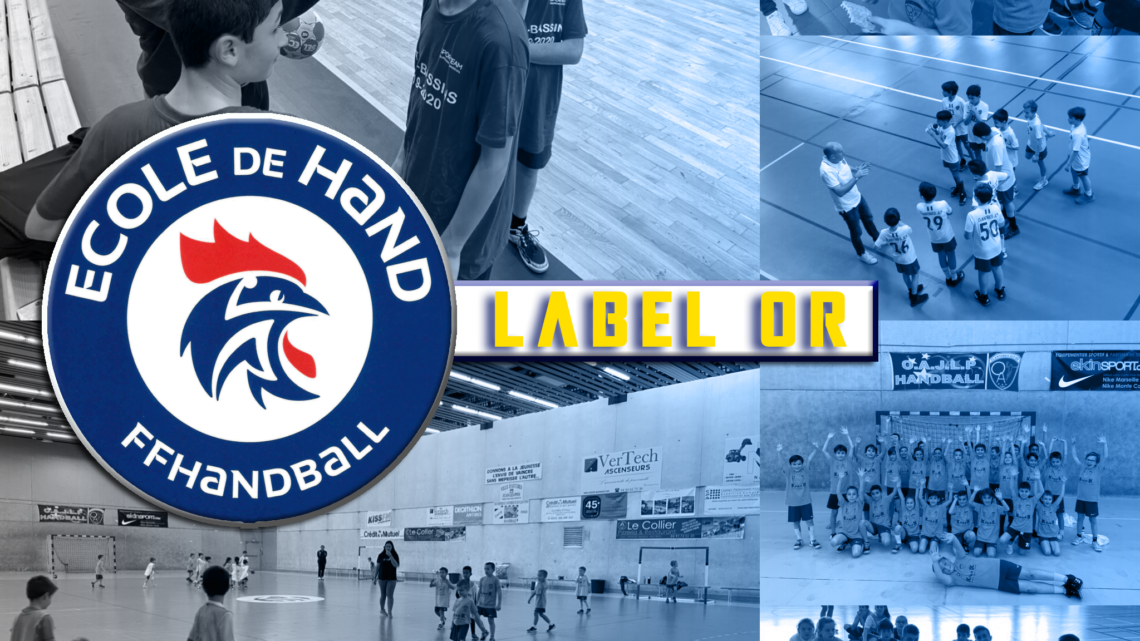 Nouveau Label Or pour l’école de handball